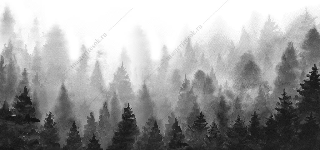 Фотообои Чёрно-белый лес